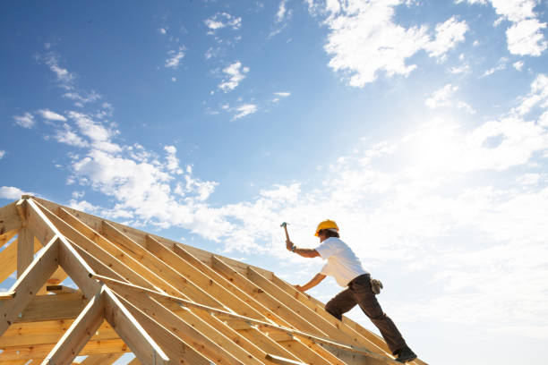 Best Roof Maintenance and Cleaning  in Cave City, AR